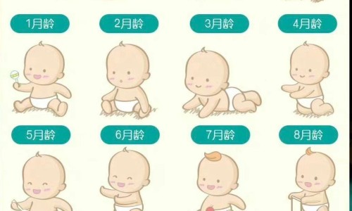 小豆知-小豆知、小豆量 -测小豆有什么药用网