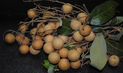 小豆nian-小豆知、小豆量 -测小豆有什么药用网