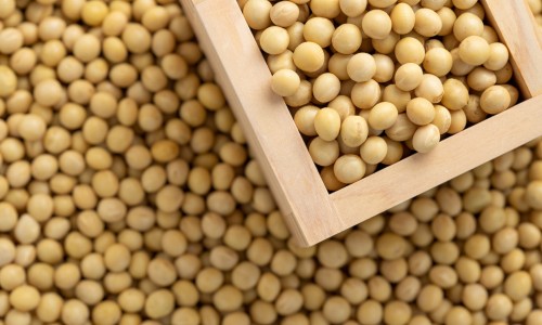 小豆知-小豆知、小豆量 -测小豆有什么药用网